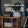 VIBELINK AMP